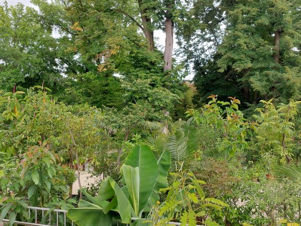 botanischer garten graz