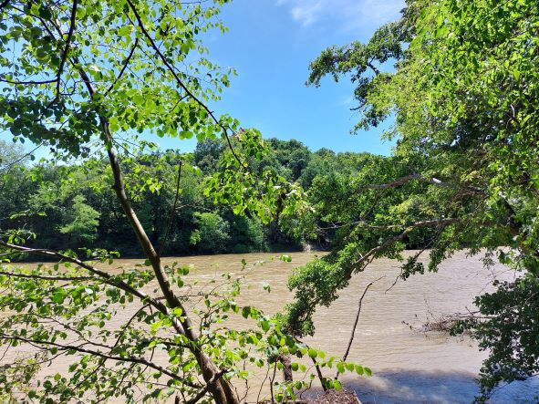 an der mur in der natur