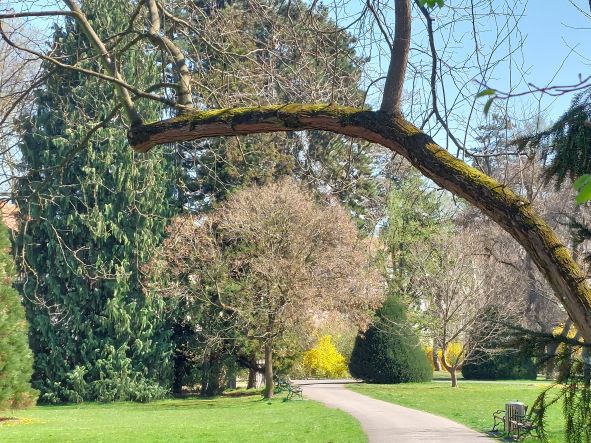 grazer stadtpark im blütenmeer