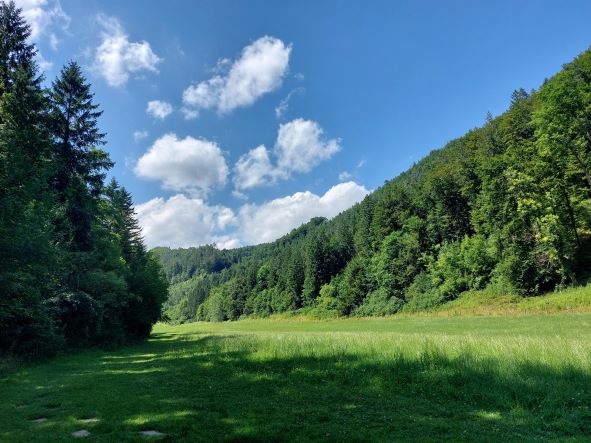 bar-fuss-weg am stift rein