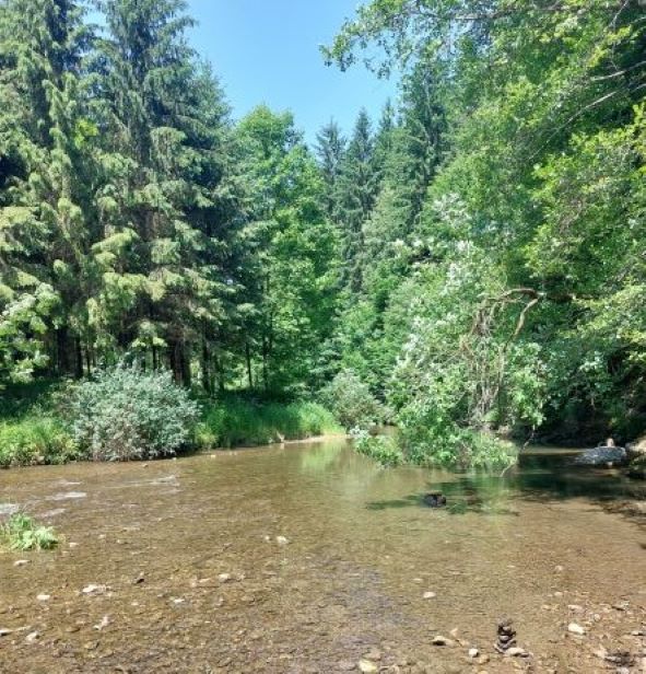 kleine raabklamm stellt sich vor ...