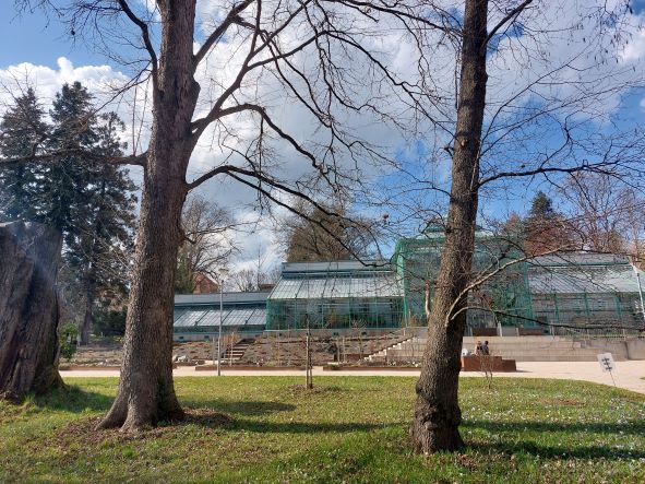 botanischer garten graz - ein blumenmeer im frühling
