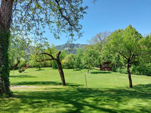 ein geheimnisvoller klostergarten