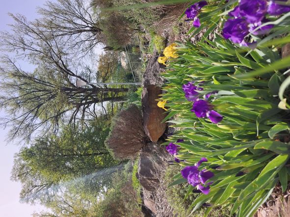 einblicke in den botanischen garten graz