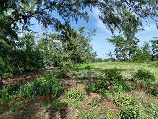 Sumba land for sale