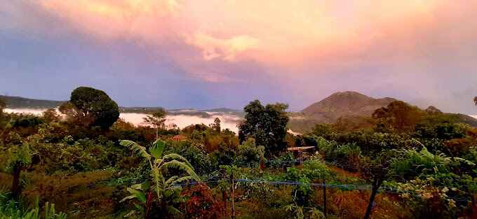 Kintamani real estate for sale
