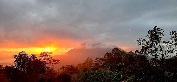 Kintamani real estate for sale