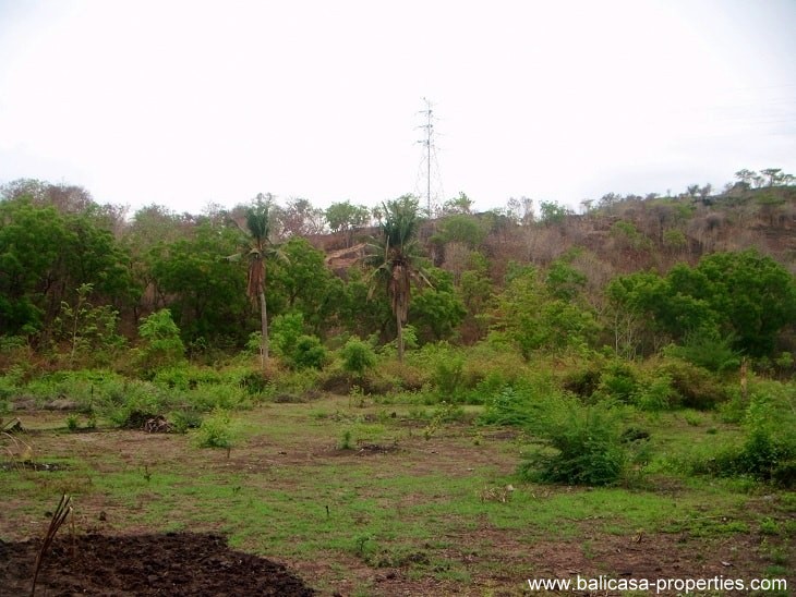 Land from the fence to the other boundary