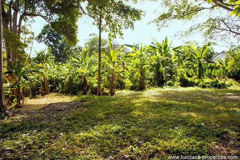 Padang Galak land for sale