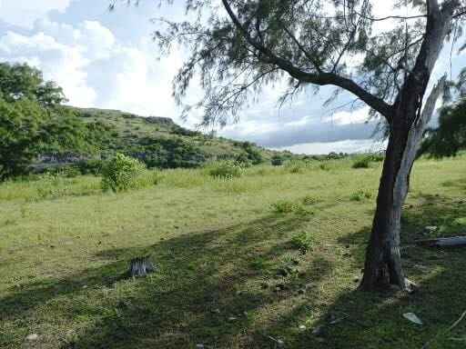 Sumba land for sale