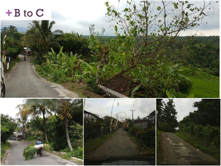 Tabanan land for sale