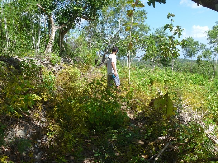 Nusa Penida land for sale