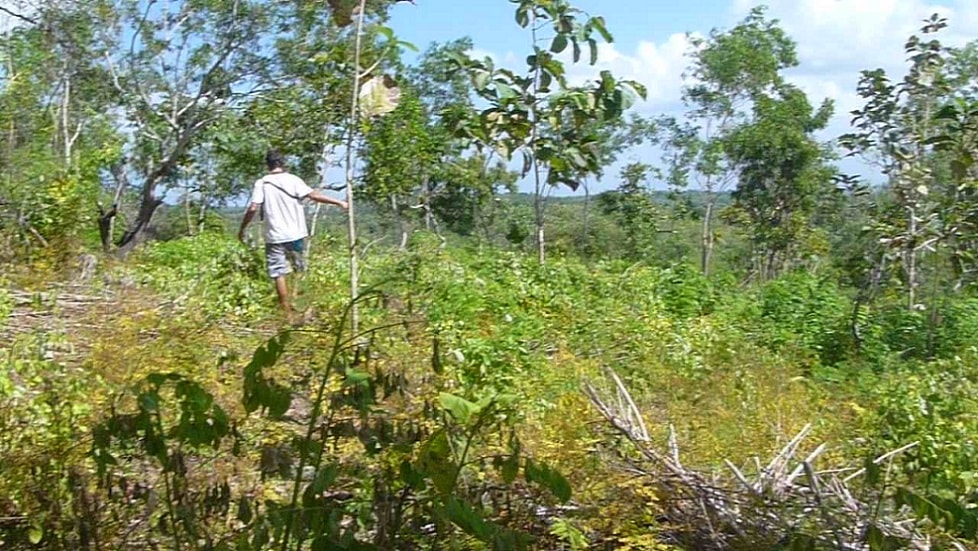 Nusa Penida land for sale