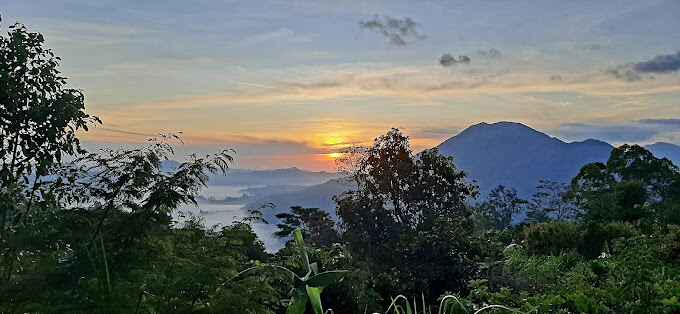 Kintamani real estate for sale