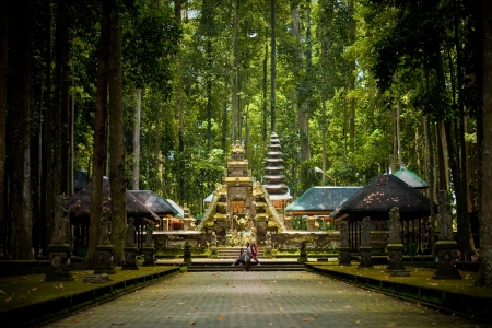 Sangeh Monkey Forest. Badung regency in Bali.