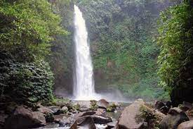 Pujungan Waterfall Tabanan