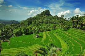 Bukit Jambul in Karangasem, Bali