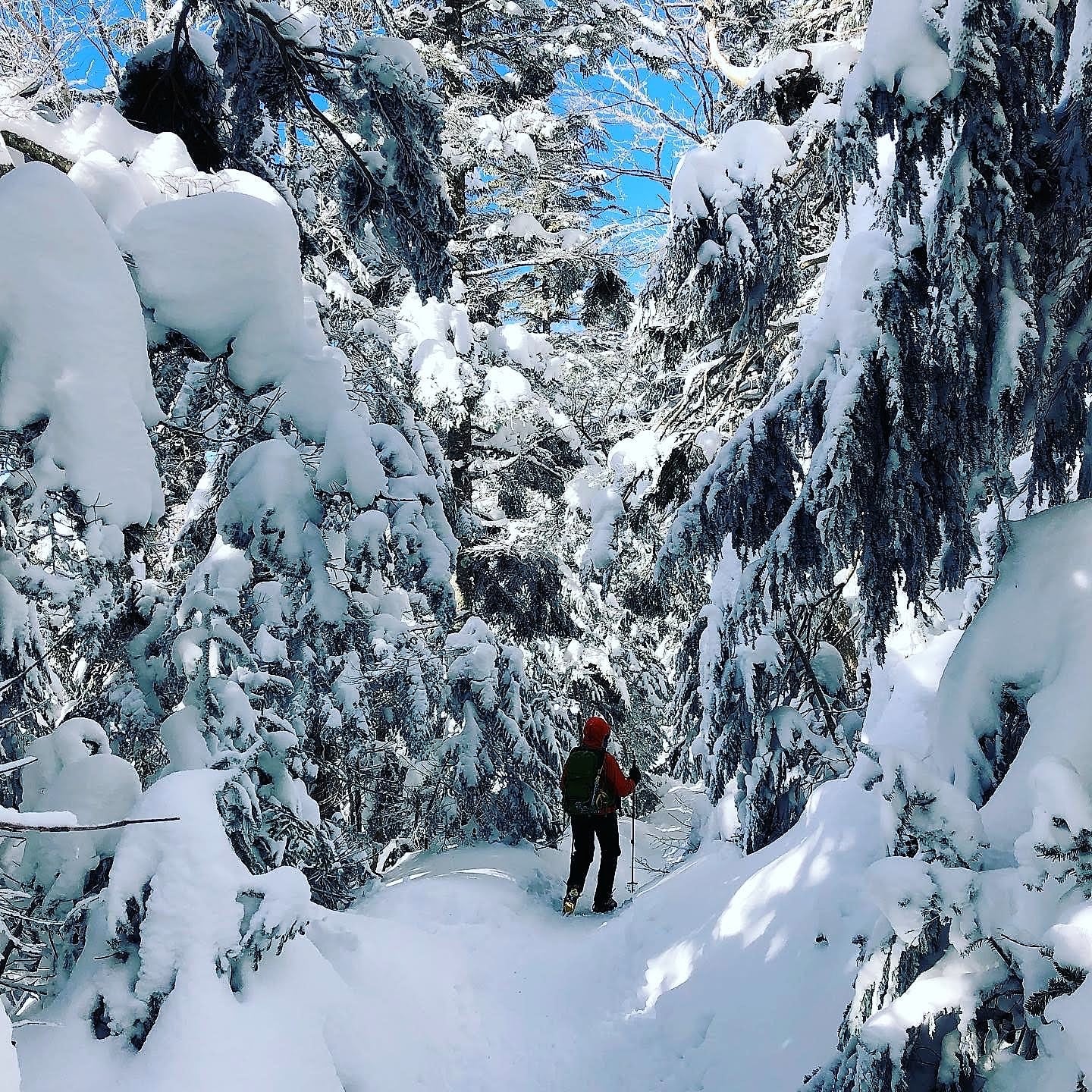 　樹林帯が多いため雪山初心者向けです