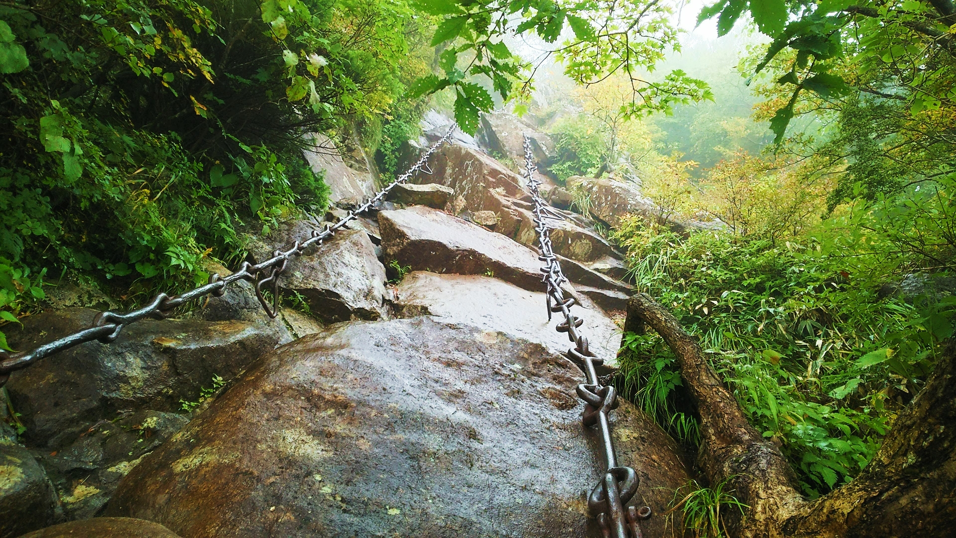 石鎚山の鎖場は300年の歴史があると云われる