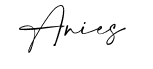 anies-blogs Webseite!