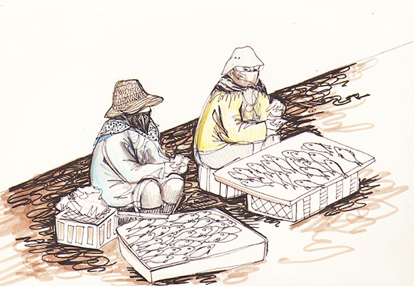 "Essaouira Fish Market" (Morocco), coloured pencils, markers & fineliner, 2015