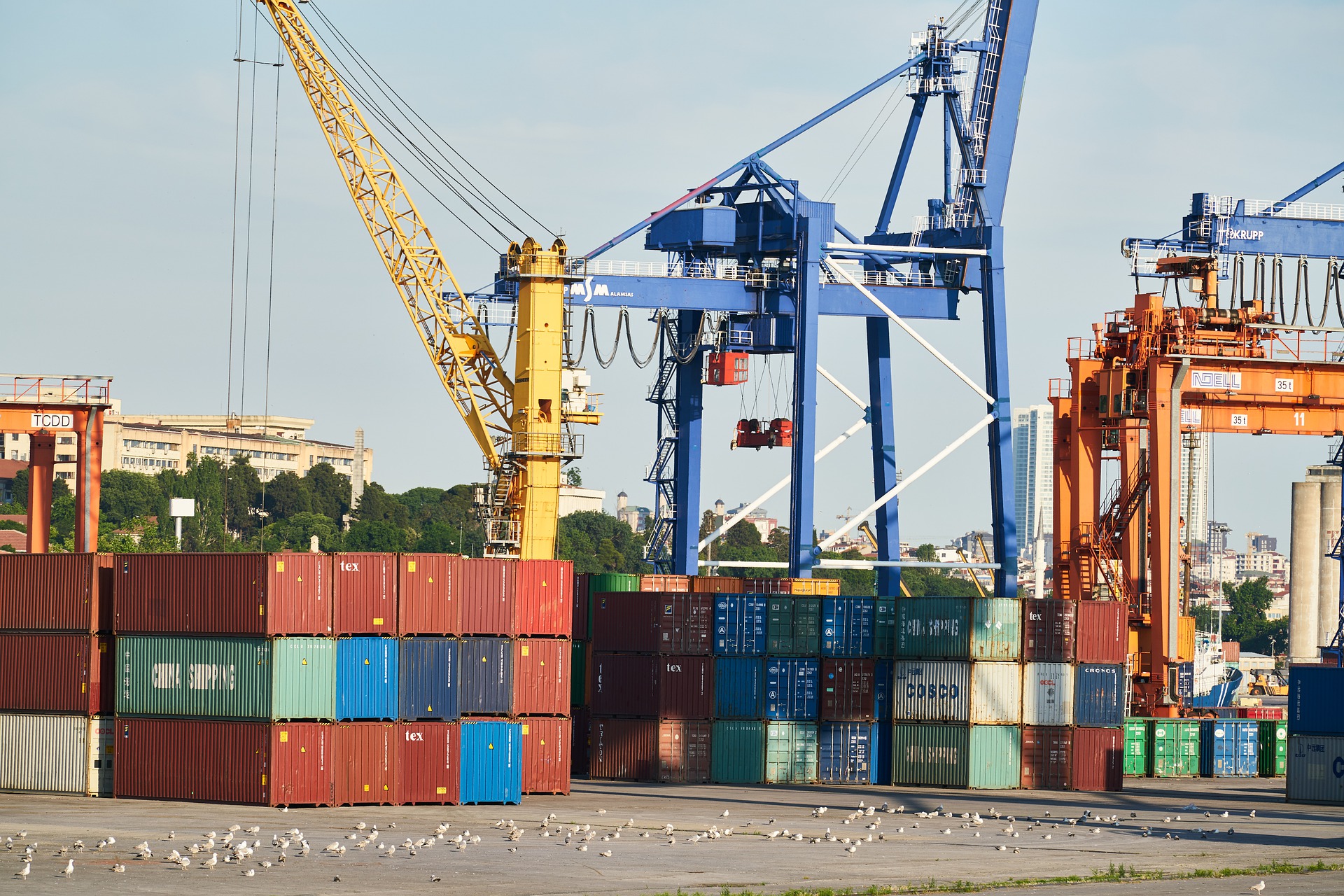 Palestine : soutien aux dockers CGT du Golfe de Fos