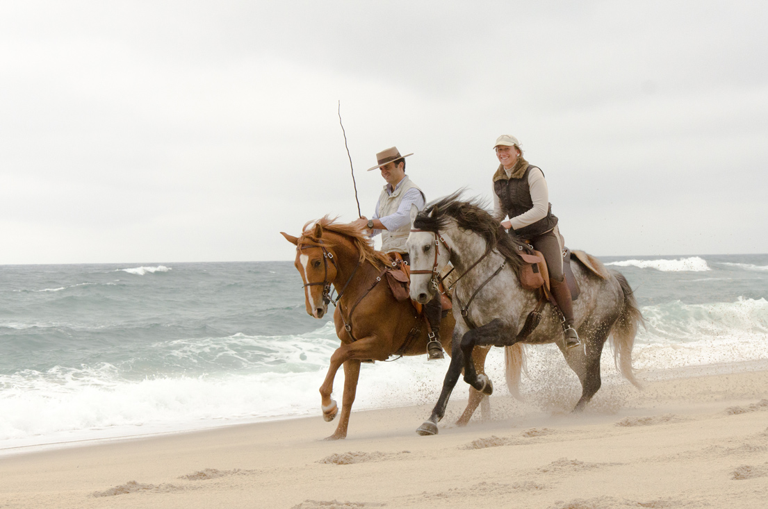 Enjoy a galopp at the beach