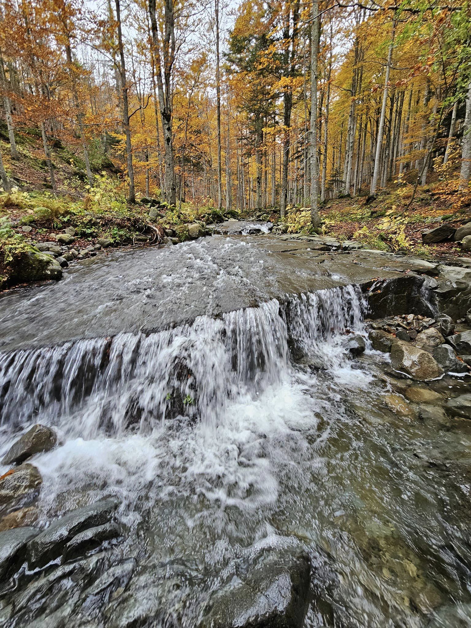 Trekking Abetone Ottobre 23