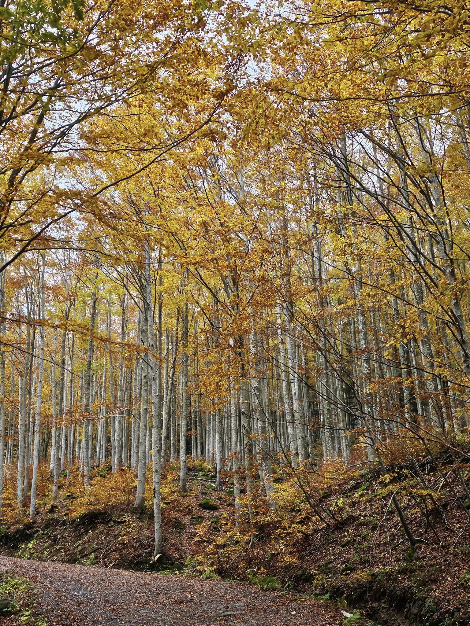 Trekking Abetone Ottobre 23