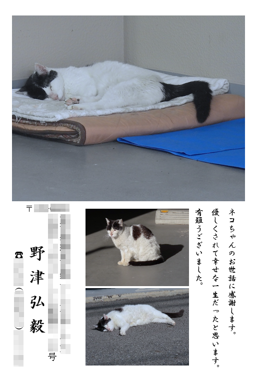 パソコン活用事例紹介－写真入り礼状