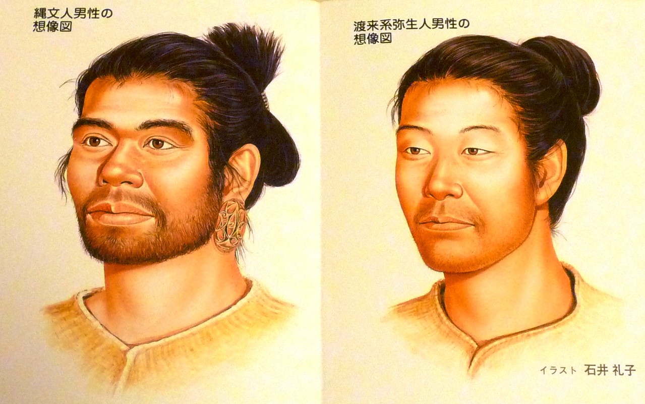 赤道こまち すぐにお届け 当日精米 当日配達 赤道こまち すぐにお届け 当日精米 当日配達