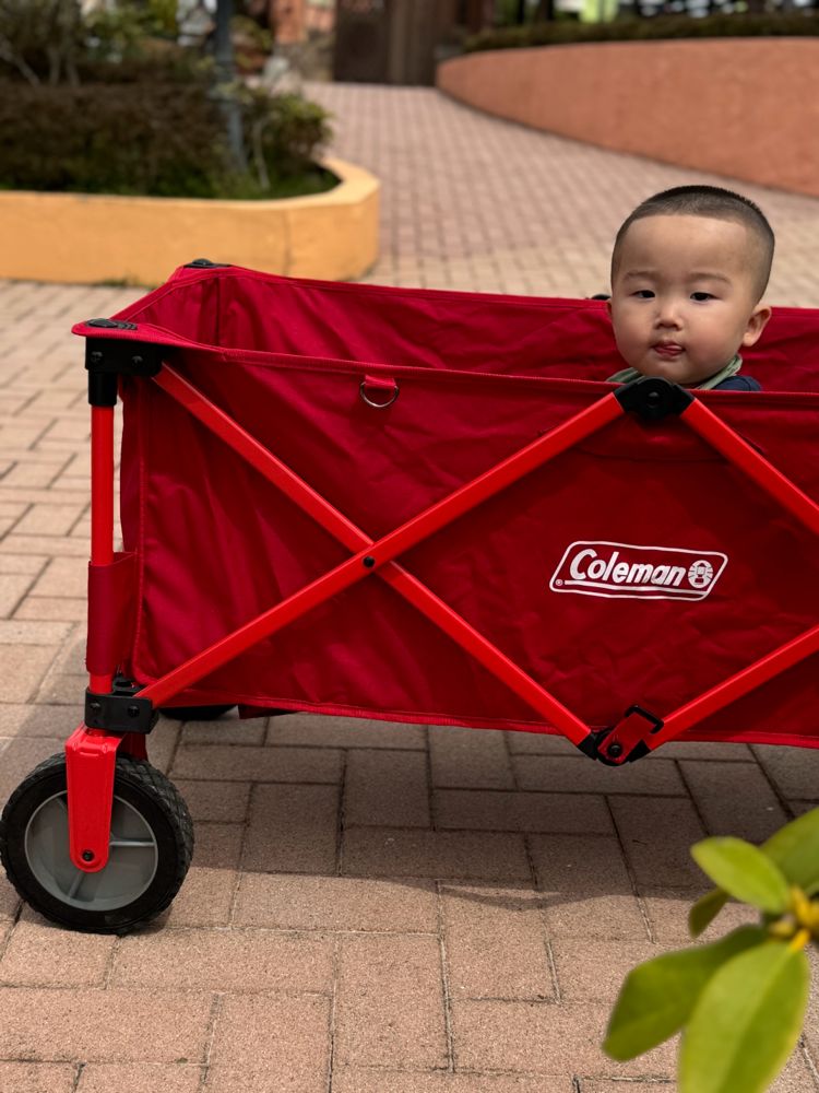 Coleman キャリーワゴン 赤 アウトドアワゴン（レッド）の通販