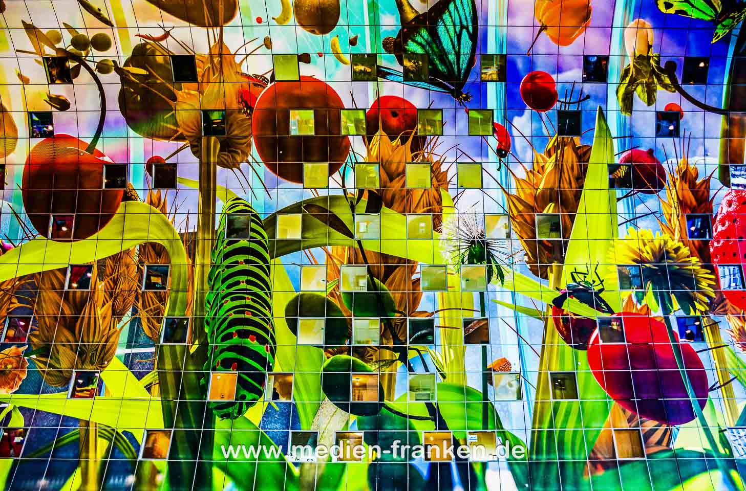 Reisebildband Rotterdam