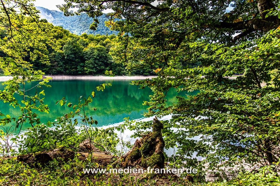 Nationalpark Biogradska Gora mit Gletschersee Biogrdska Jezero, Montenegro
