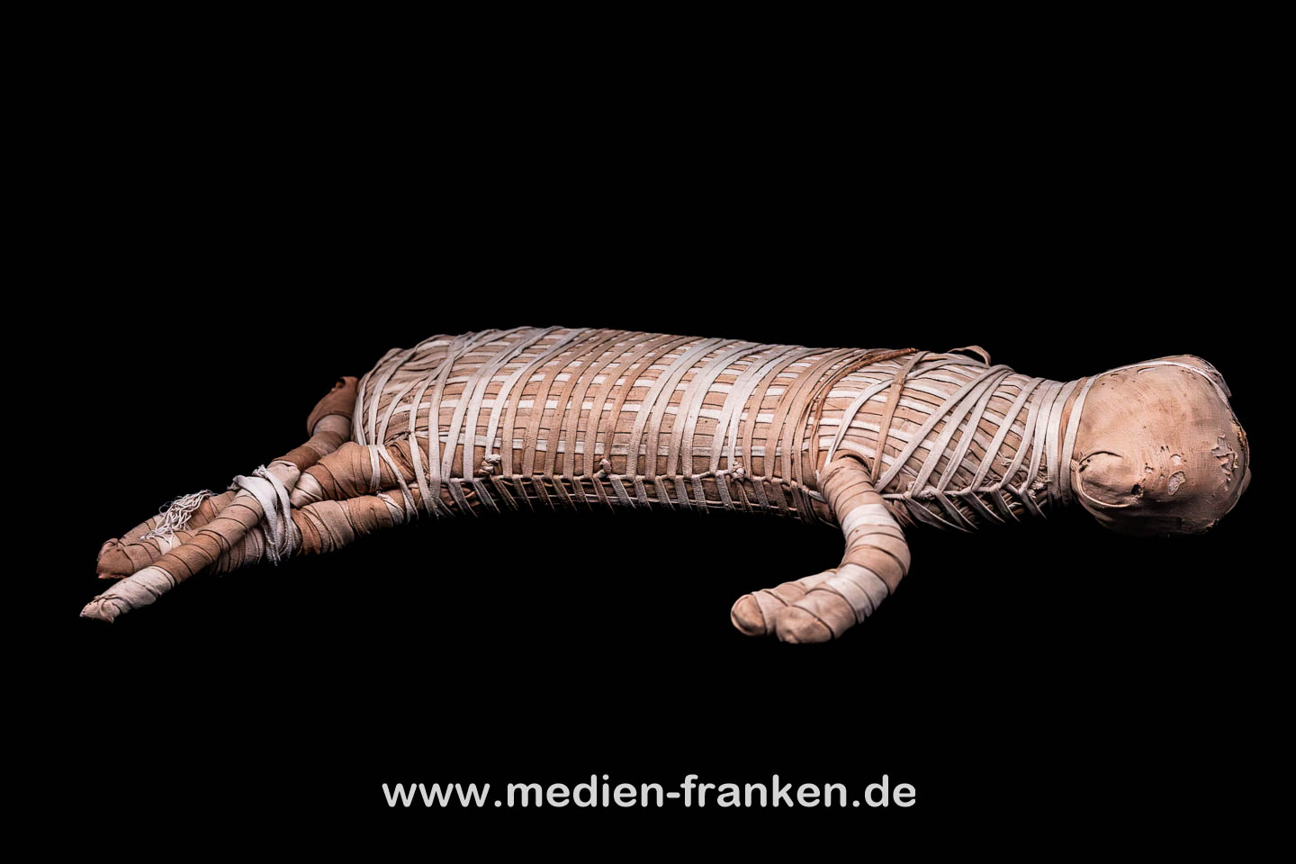Mumifizierte Katze aus der ptolemäischen Zeit 