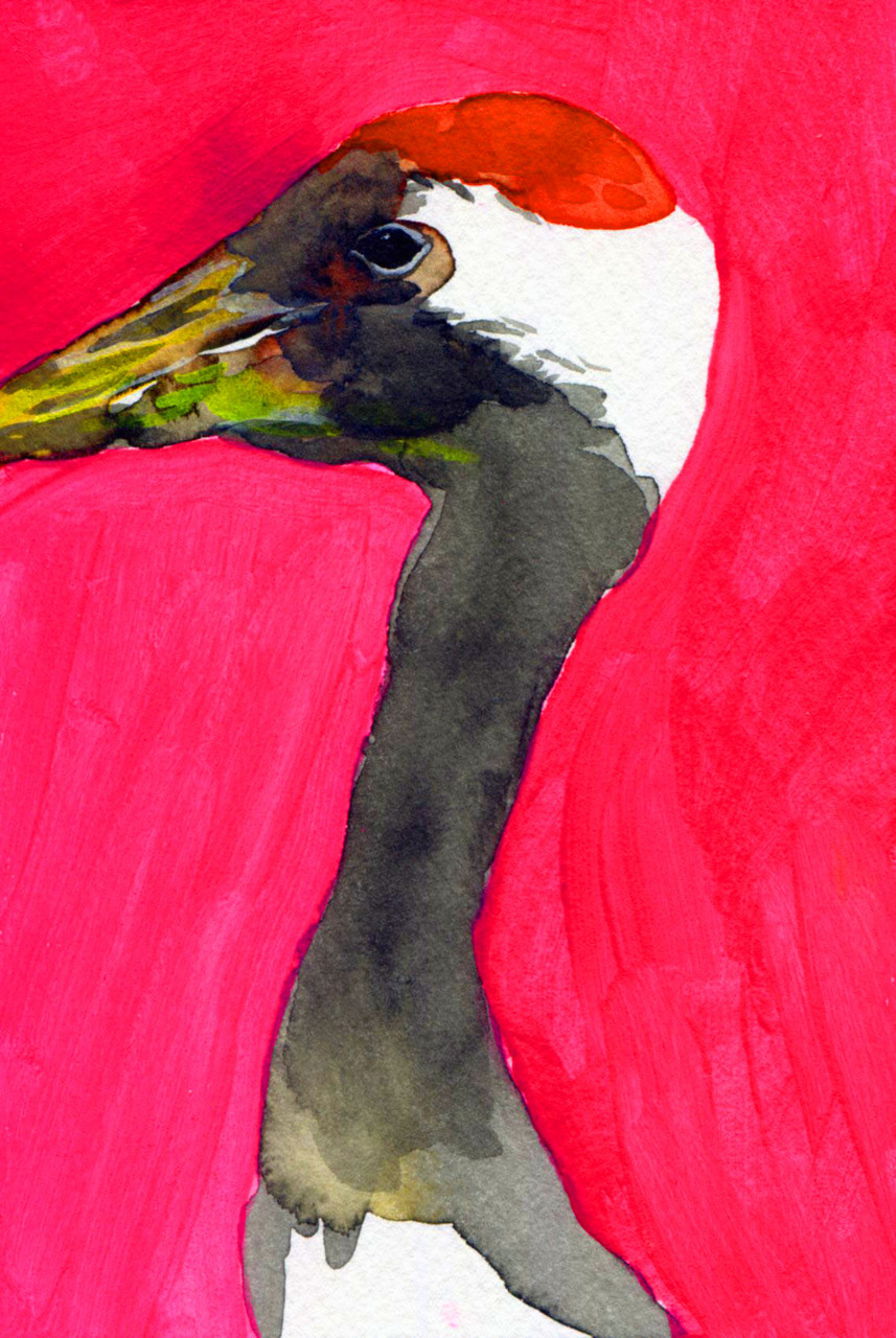 "タンチョウ"  watercolor,paper 10×14.8cm 2015