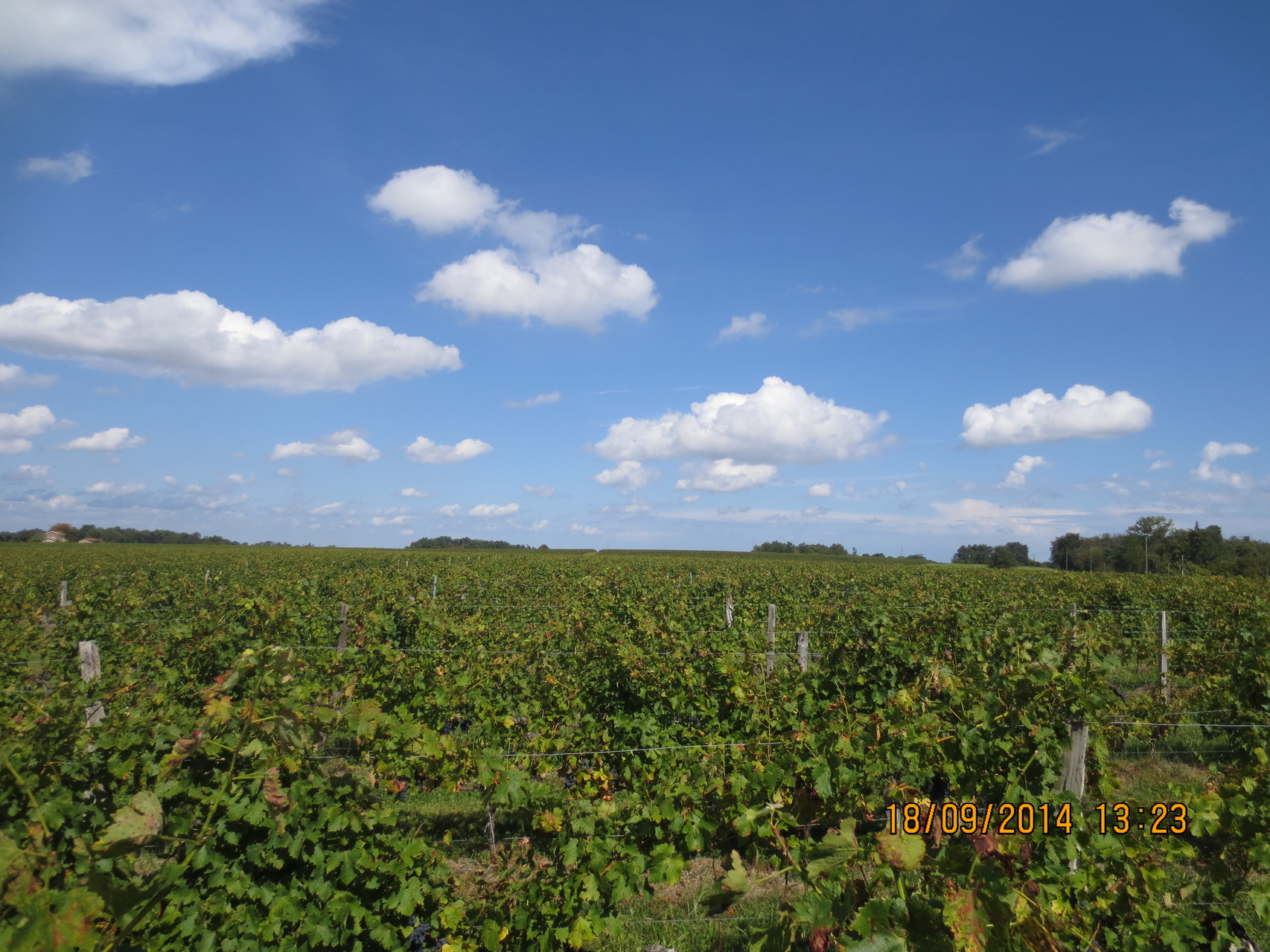 Découvrir Loupes Mairie de Loupes (Gironde)