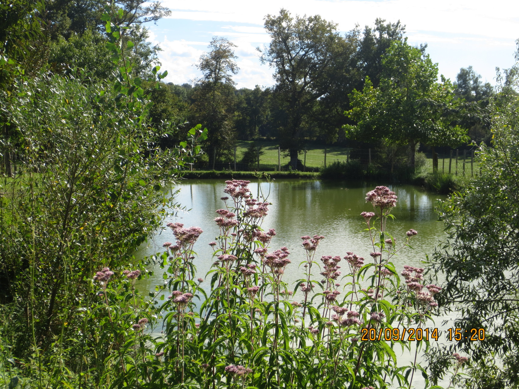 Découvrir Loupes Mairie de Loupes (Gironde)