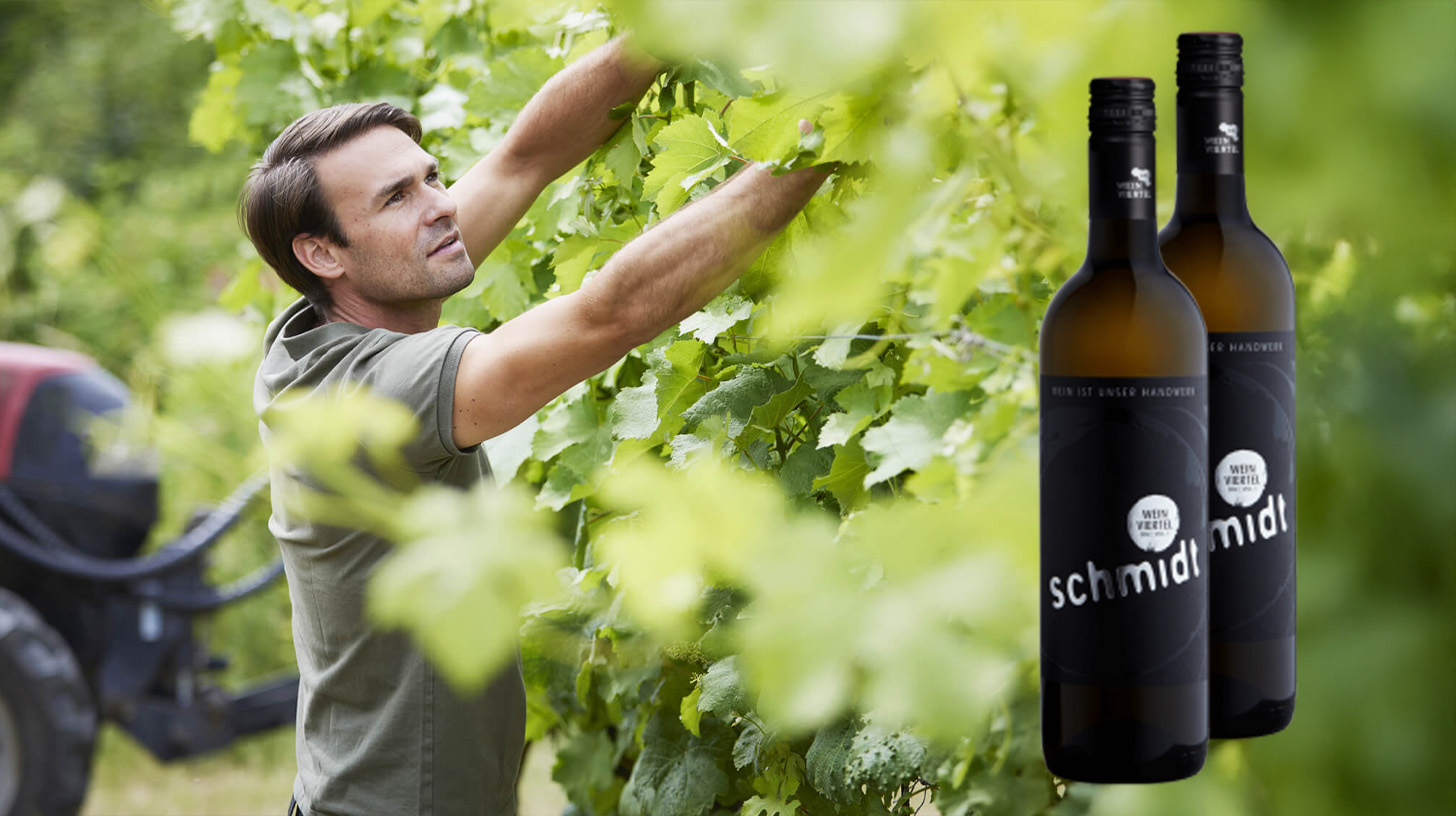 Weingut Philipp Schmidt – Handwerk, Familie & Leidenschaft aus Hagenbrunn