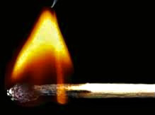 Feuerlöscher kaufen, Pulverfeuerlöscher, Bio Handfeuerlöscher, Bio Fluorfrei, biologisch abbaubar, umweltfreundlich, Feuerlöscherservice, Feuerlöscherkontrolle, Feuerlöscherwartung, Feuerlöscher, Schaumlöscher, Leichtwasser, Preis, Region Basel, Schweiz