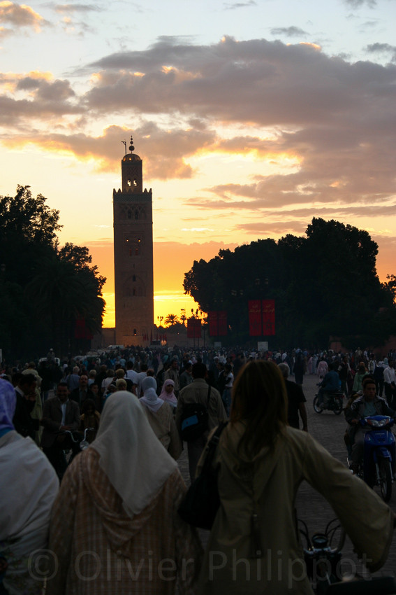 Marrakech - La Koutoubia