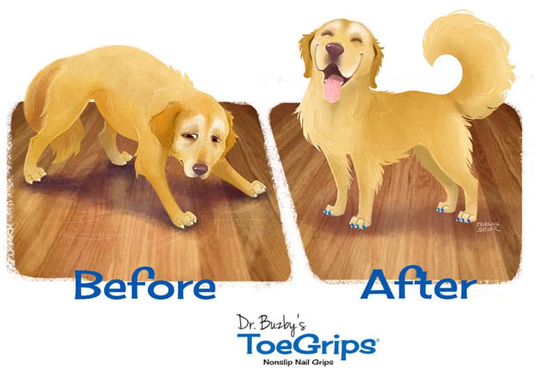ToeGrips® – so einfach wie genial? | Teil 1: Passen die zu meinem Hund und mir?