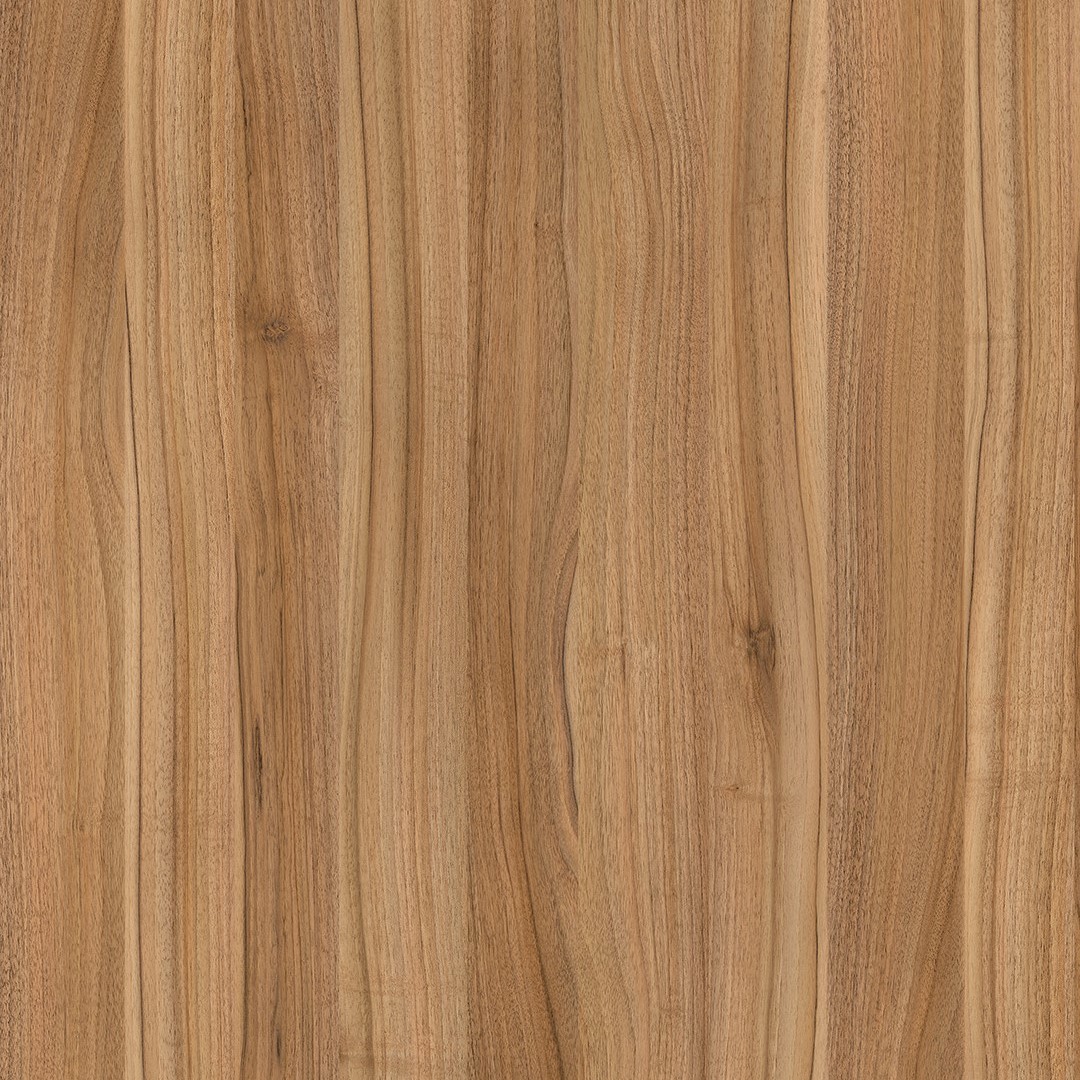 Nussbaum Lyon