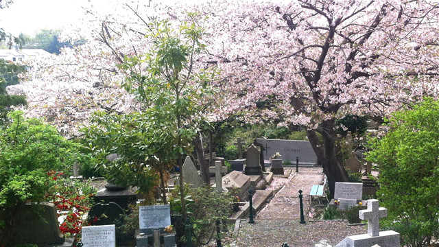 　　　　　　横浜市中区山手町の横浜外国人墓地にあるエリザ・シドモア女史の墓（2012年4月13日撮影）