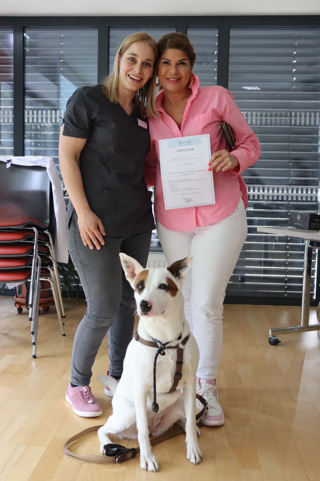 Kleintierpraxis In Junkersdorf - Larissa Michels Erste-Hilfe-Kurs für Hunde und Katzen - Kleintierpraxis Kerstin Pabst