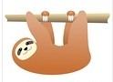僕、ナマケモノです。