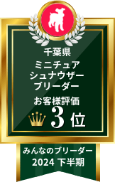 <a href="https://www.min-breeder.com/"><img src="https://www.min-breeder.com/breeder/images/certificate/91946-L.png" border="0" alt="みんなのブリーダー 日本スピッツ部門 2024年下半期" style="width:162px; height:256px;"></a>