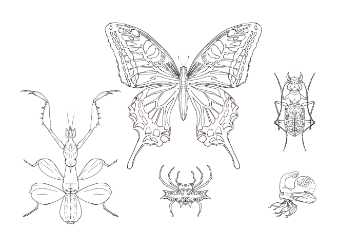 昆虫+α標本