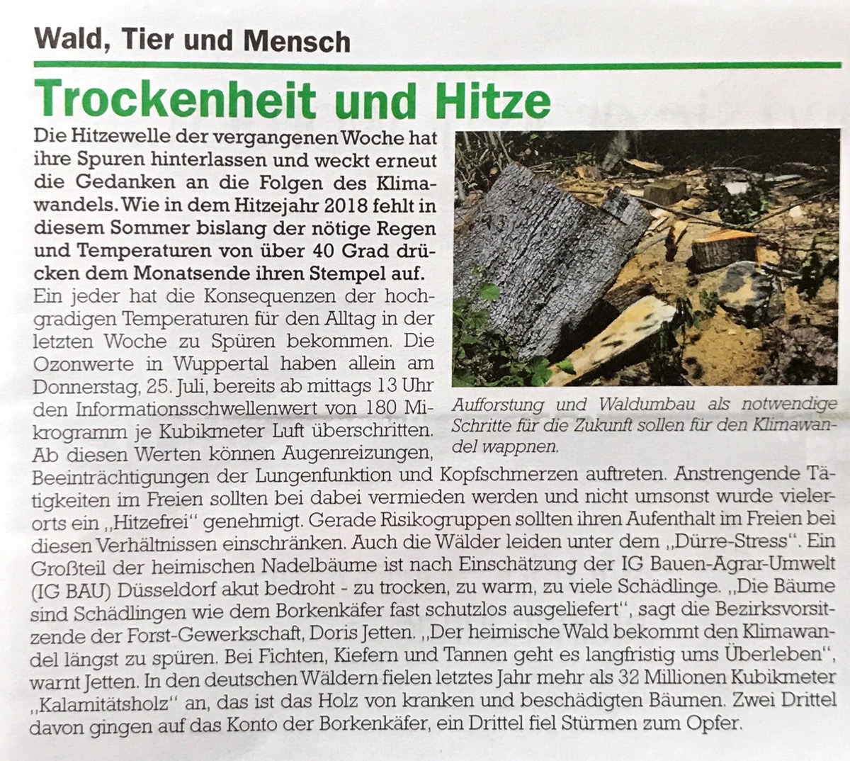 Cronenberger Anzeiger 31.07.2019