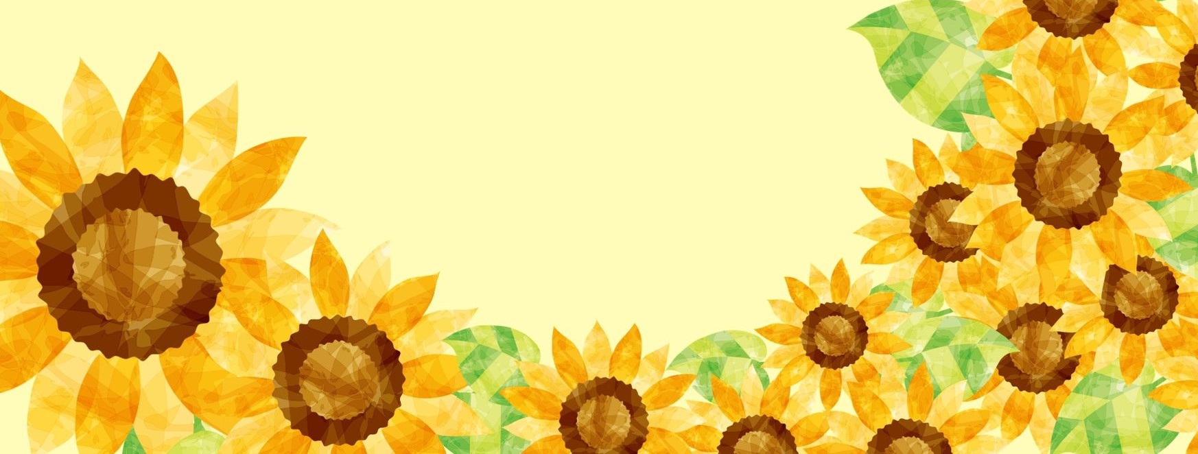 Niall Hartnett ひまわり英語教室